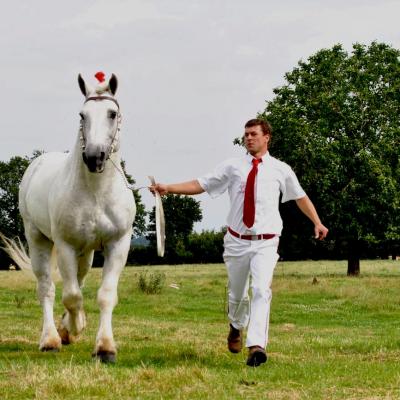 Fête du cheval percheron - Ecomusée du Perche - 15 août 2012