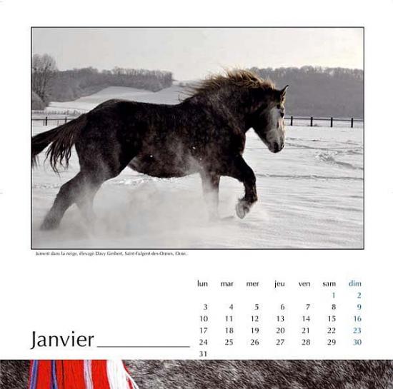 La neige a inspiré Jean-Léo DUGAST pour la réalisation du calendrier 2011 sur le cheval percheron